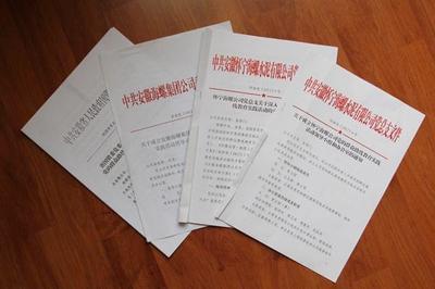 專業(yè)翻譯公司計(jì)算機(jī)技術(shù)開發(fā)領(lǐng)域文件翻譯流程