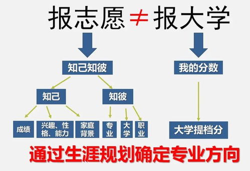2024年報(bào)考志愿指南 計(jì)算機(jī)專業(yè)就業(yè)方向，鴻蒙開發(fā)與人工智能如何選擇？
